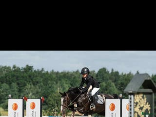 hästar En framtida stjärna. Kvalad till SvRF ungponny - Annons 7