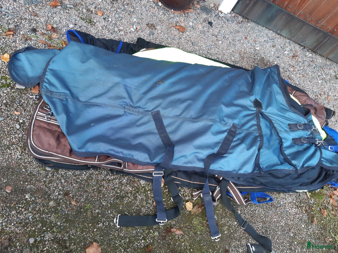 Täcken hästutrustning till salu: Shires halvhalstäcke. Stl. 135. 300g fyllning i Sollebrunn - Annons 3