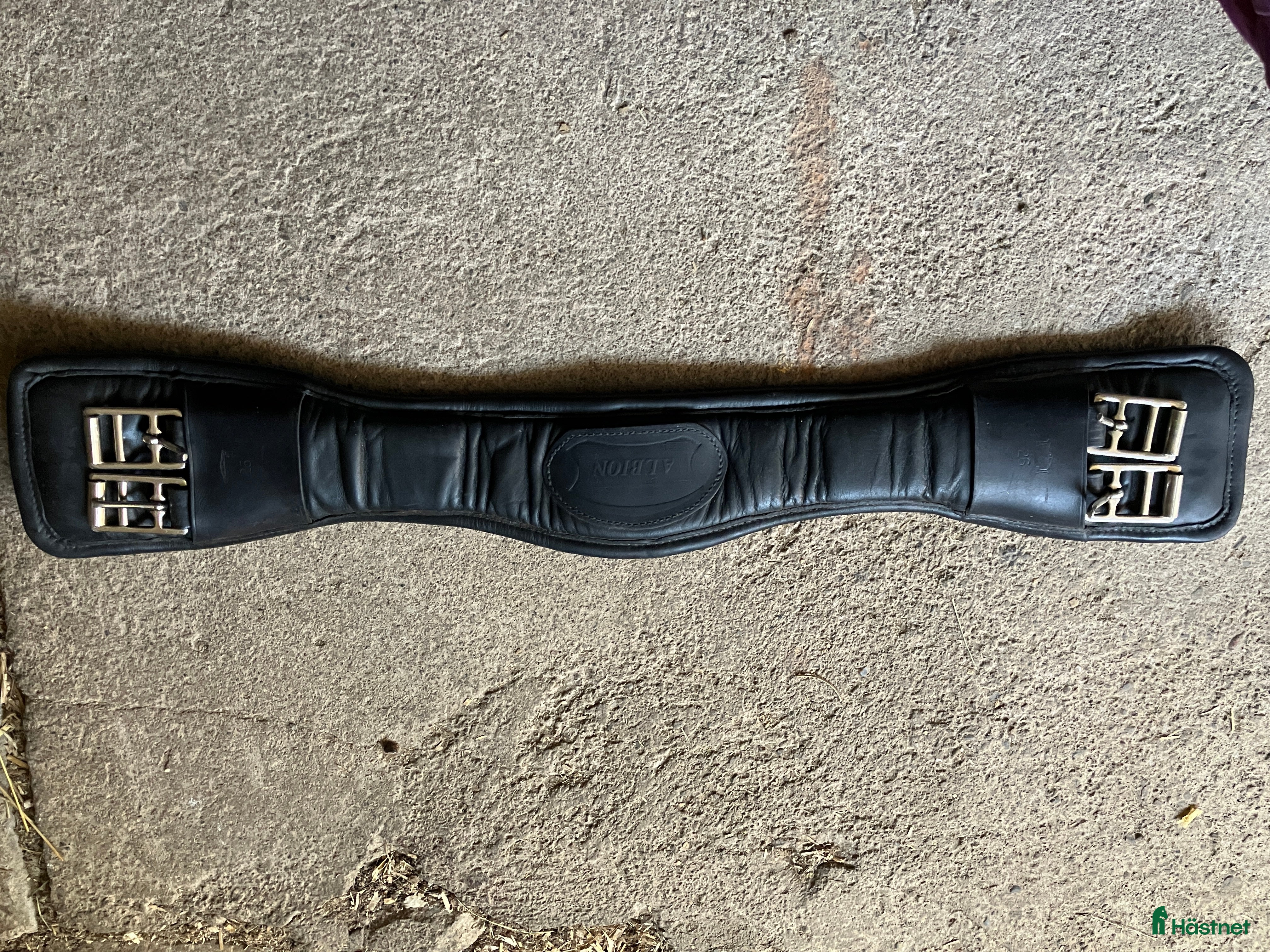 Sadeltillbehör hästutrustning till salu: Dressyrgjord stl 65 i Vintrosa - Annons 18