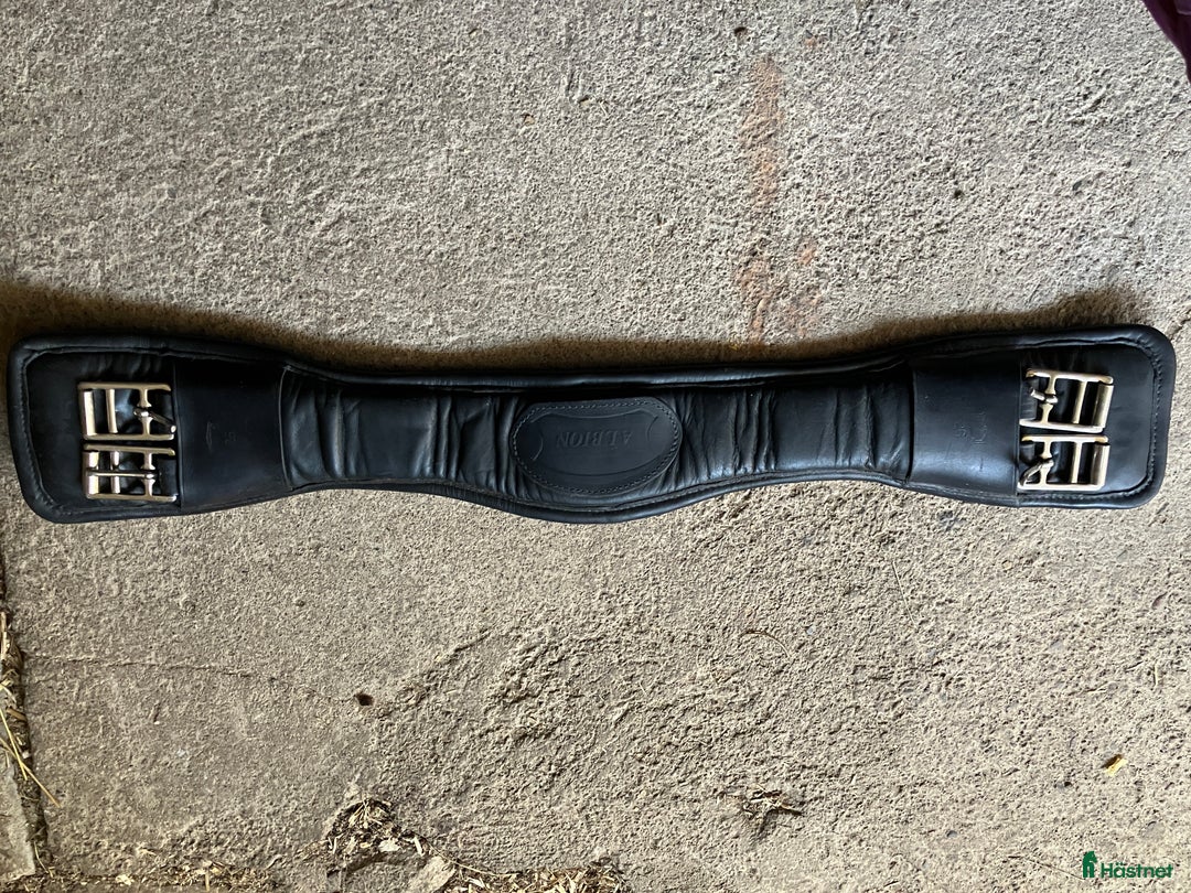 Sadeltillbehör hästutrustning till salu: Dressyrgjord stl 65 i Vintrosa - Annons 1