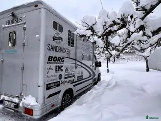Hästlastbilar fordon & transport till salu: Peugeot Boxer Equitrek B-kortslastbil - Annons 2
