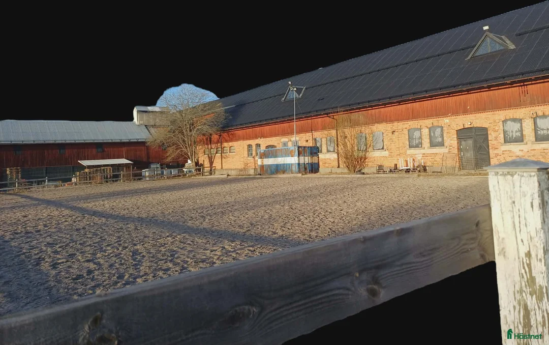  stallplats finnes: Lediga boxar i Hagbystallet, Täby - Annons 2