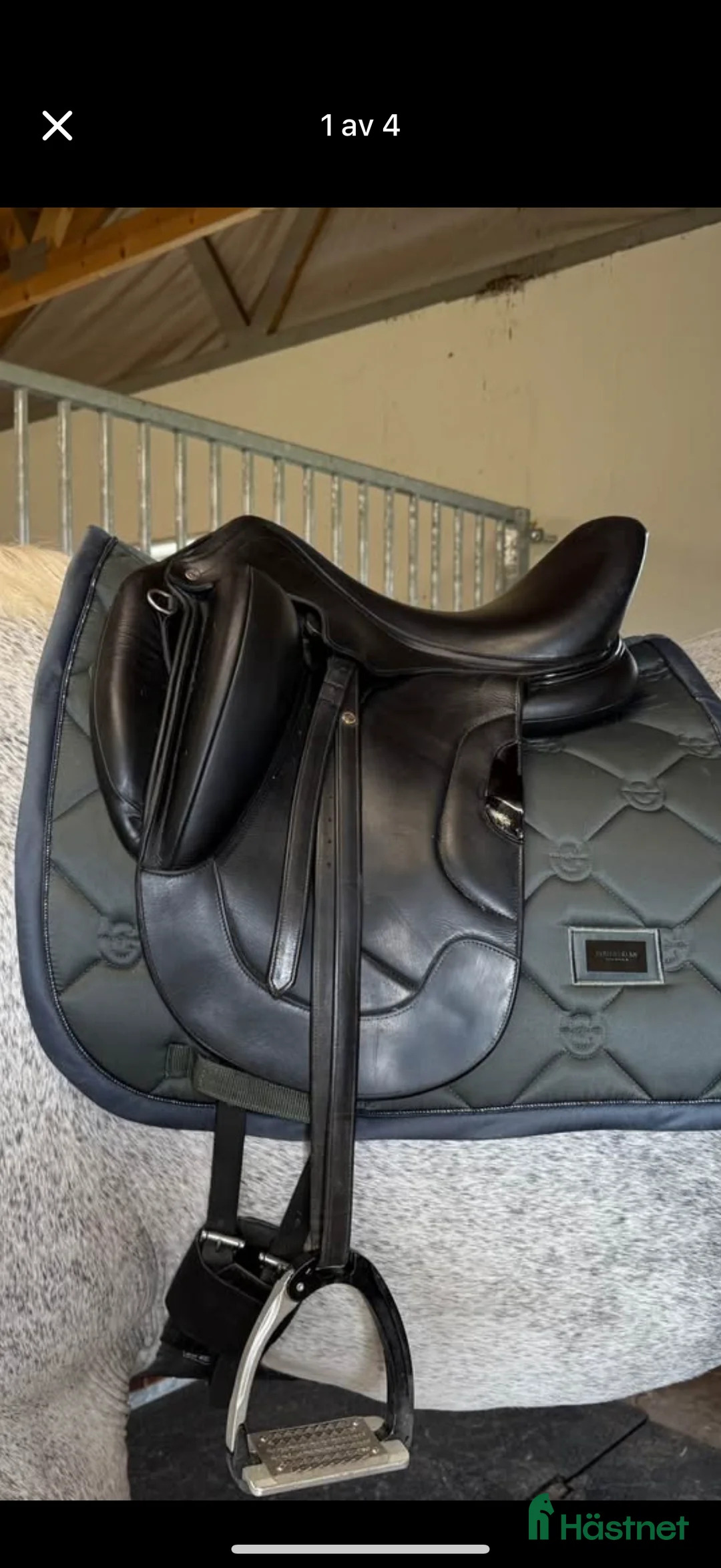 Sadlar hästutrustning till salu: Antares tempo i Dalsjöfors - Annons 1