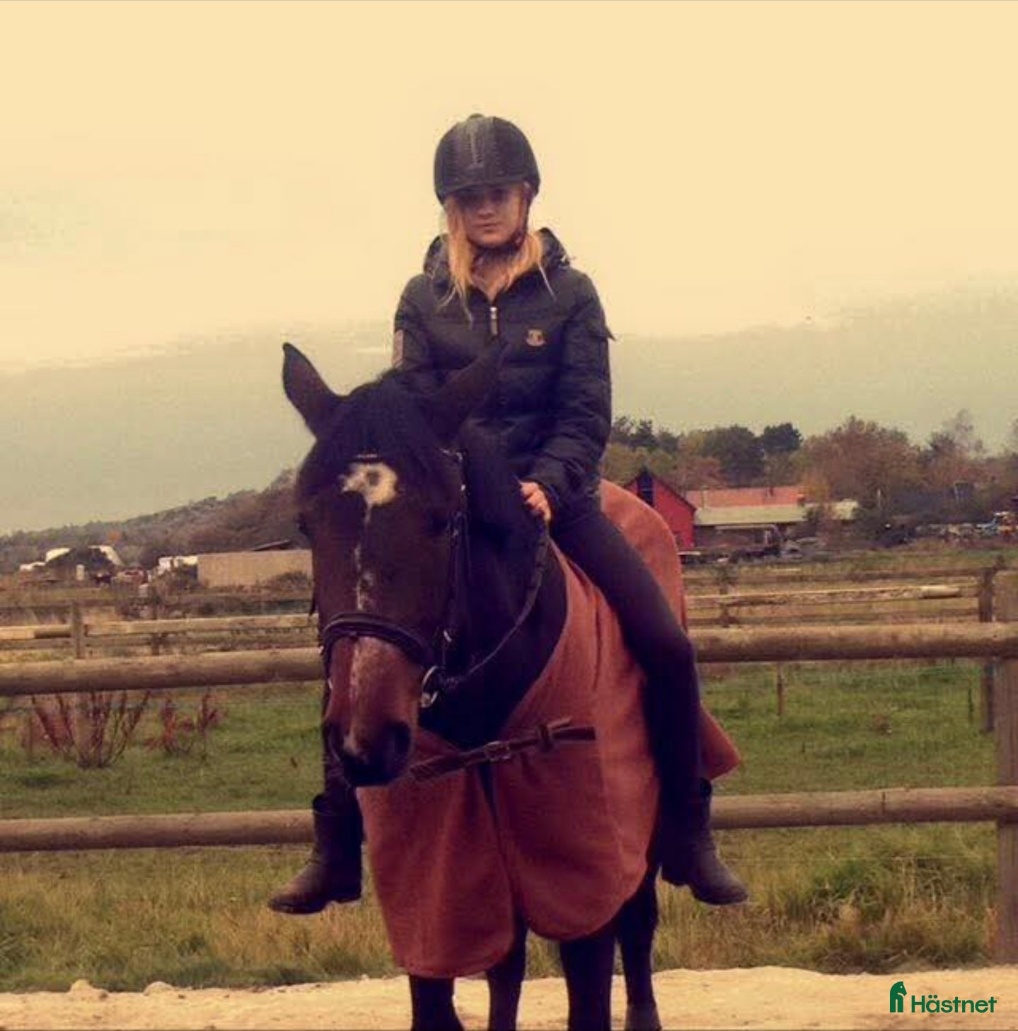  medryttarhäst sökes: Söker häst att pyssla om i/runt Mölndal - Annons 1