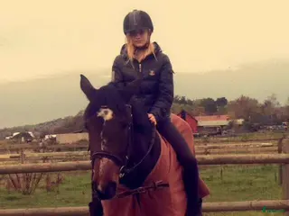 medryttarhäst sökes: Söker häst att pyssla om i/runt Mölndal - Annons 1