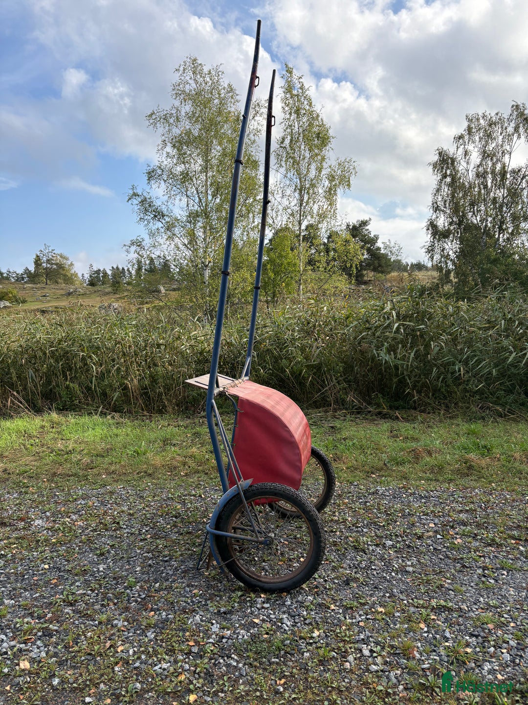 Travsulkys trav till salu: Hudik Rockard i Vikbolandet - Annons 2