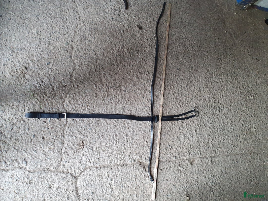 Övrig Hästutrustning hästutrustning till salu: Martingal i Näsåker - Annons 1