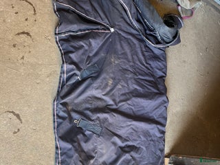 Täcken hästutrustning till salu i Båstad - Annons 9