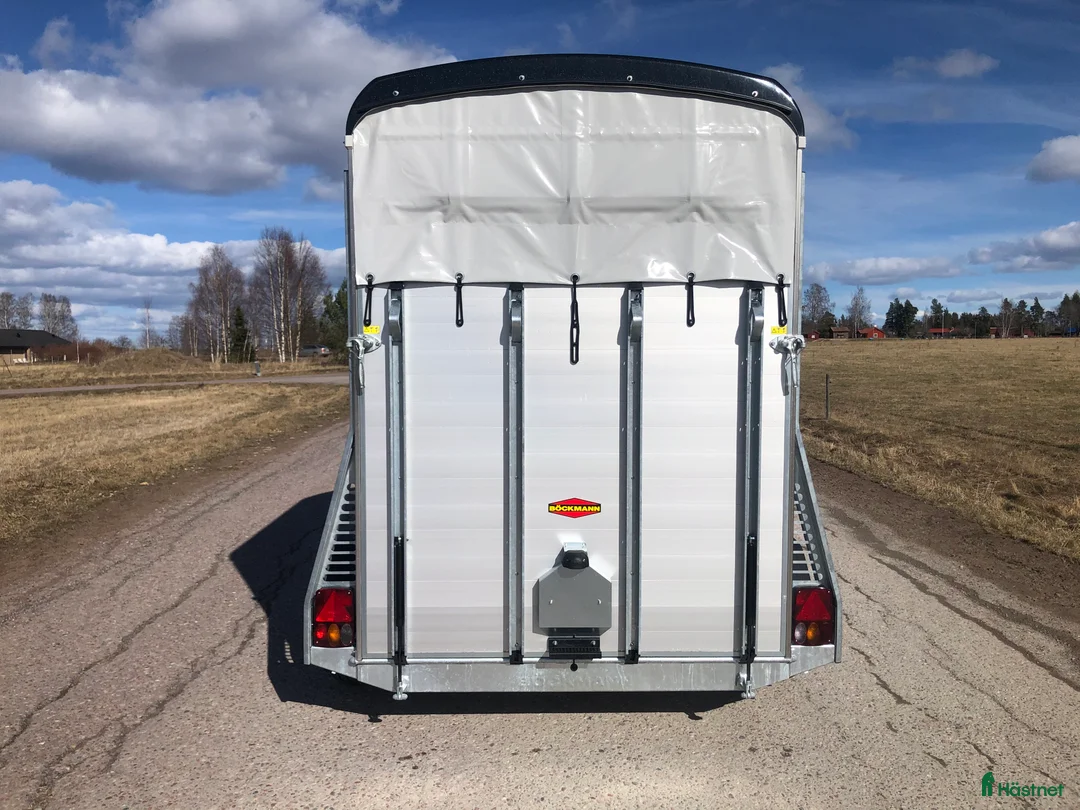 Hästtransporter  fordon & transport till salu: Böckmann Portax Esprit kombiramp #2026 -Kampanj! - Annons 6