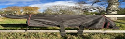 Täcken hästutrustning till salu: Regn, vintertäcke, 75cm, 100g fyllning, 600D - Annons 3