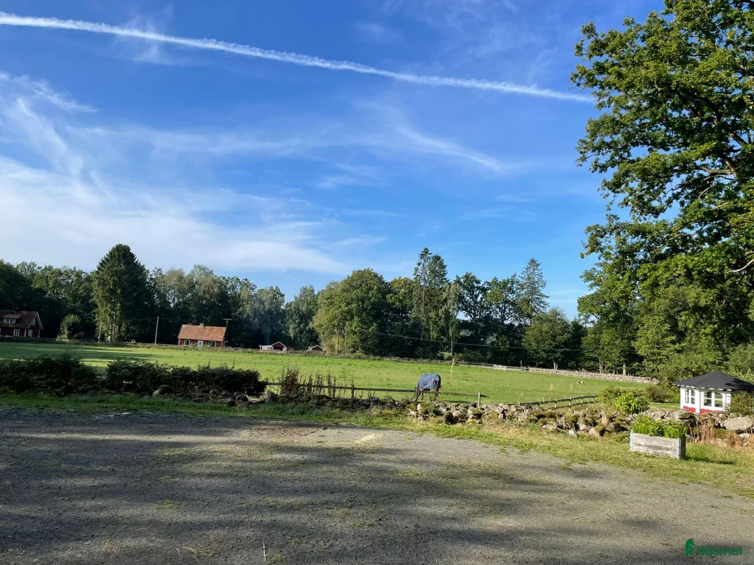  stallplats finnes: Stall med tre boxar uthyres. - Annons 7