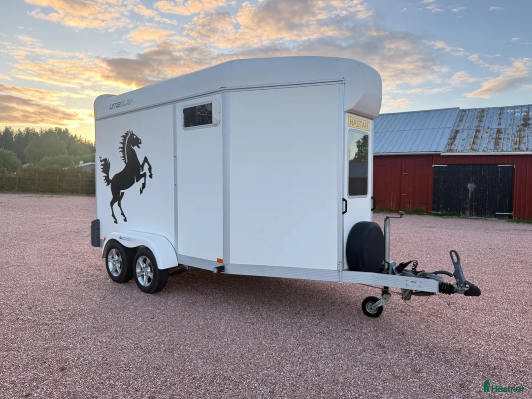 Hästtransporter  fordon & transport till salu: Umesläp BB60 i Råneå - Annons 1