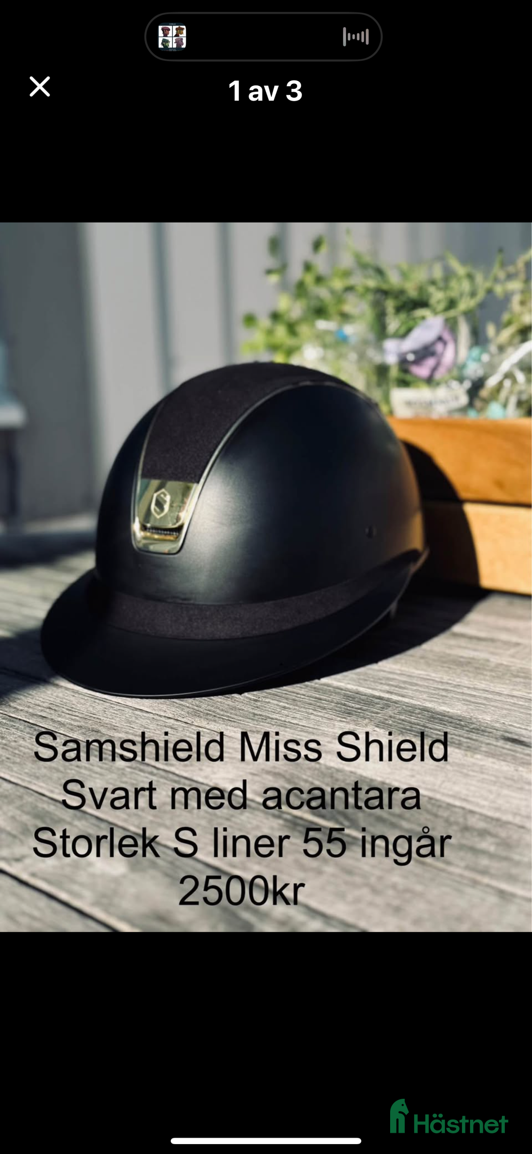 Övrig Hästutrustning hästutrustning till salu:  Samshield  Pikeur Fager Ariat Uhip MayaDelores i Hjälteby - Annons 1