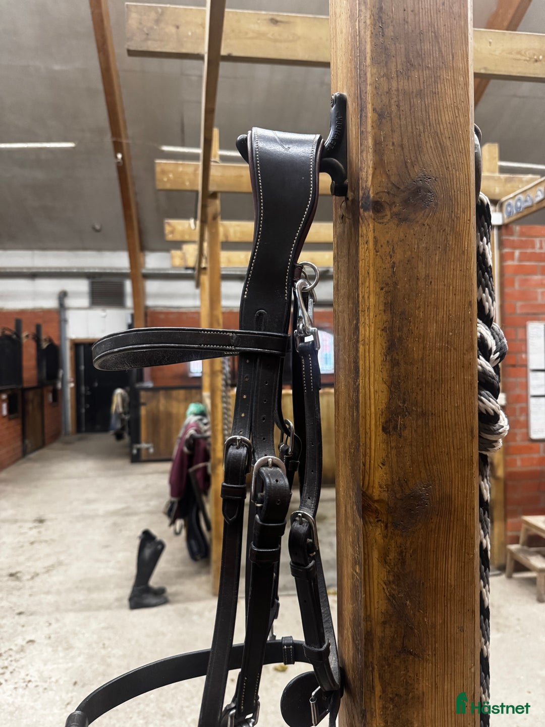 Träns hästutrustning till salu: Oanvänt Dyon träns säljes! i Uppsala - Annons 2