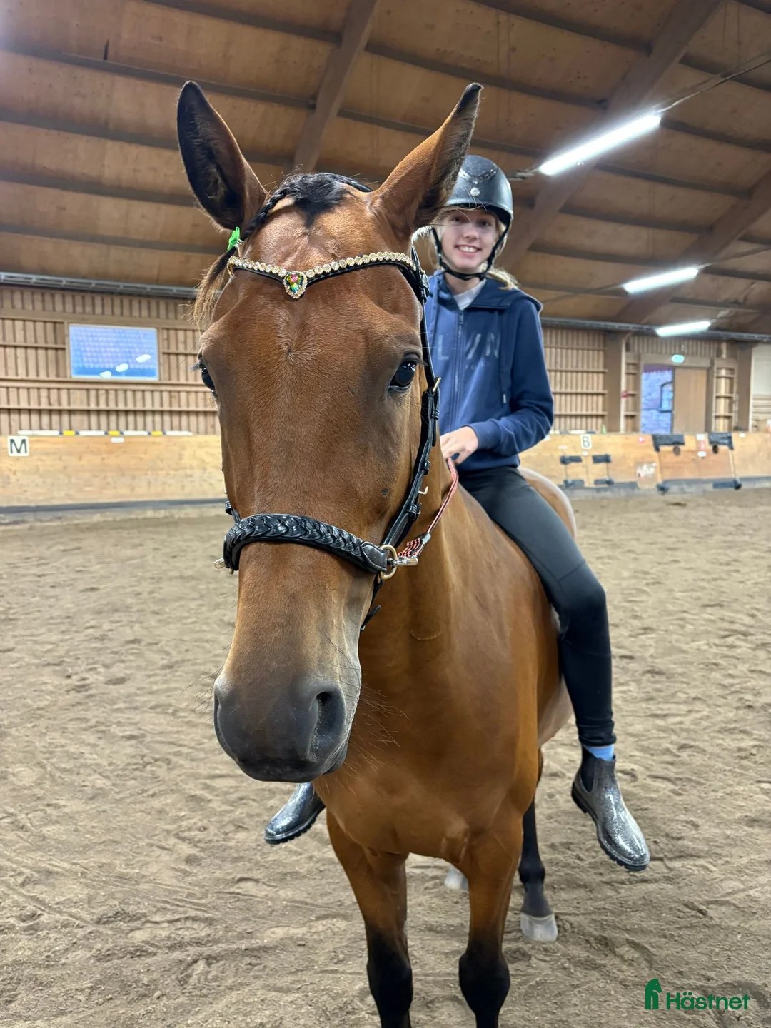 Allround hästar till salu: ***RESERVERAD*** - Annons 1
