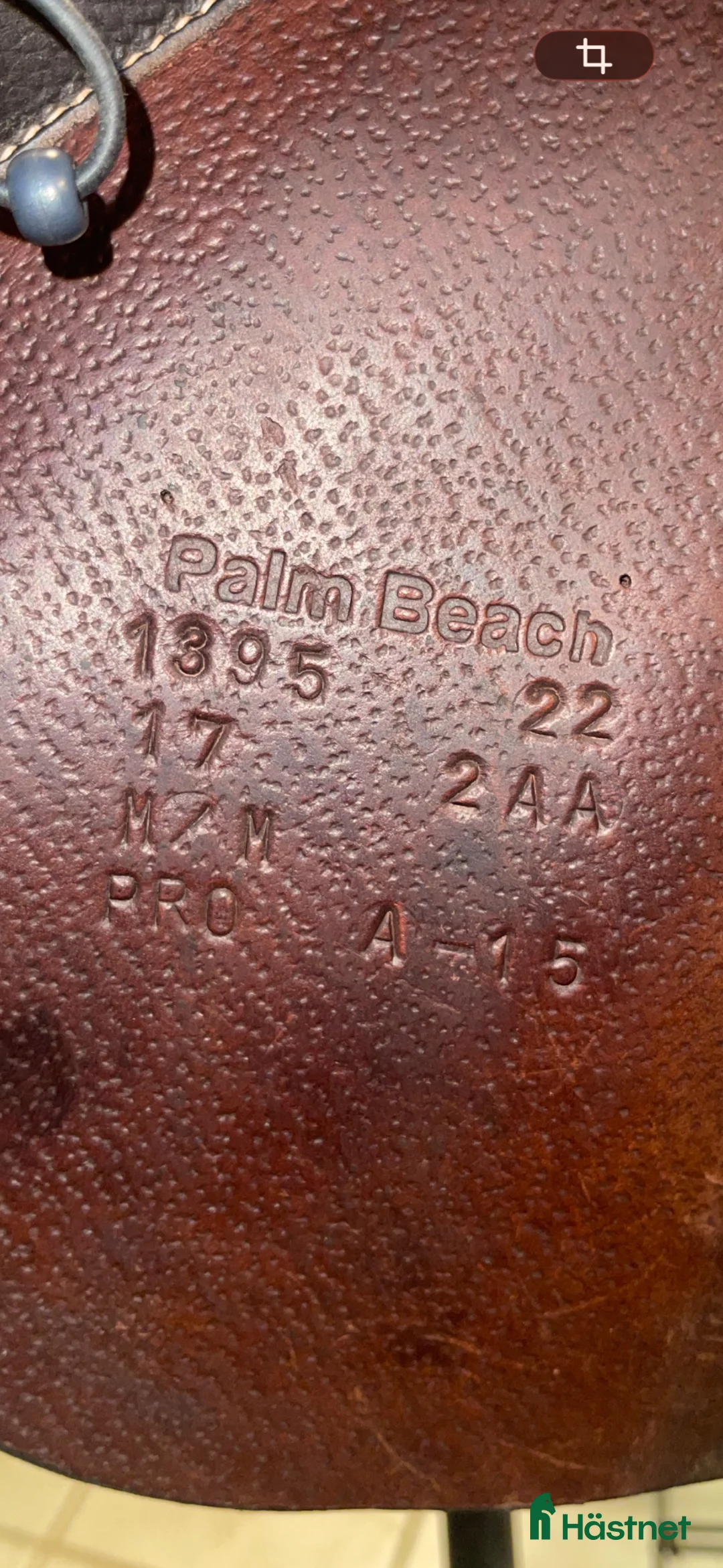 Sadlar hästutrustning till salu: Voltaire Palm Beach - Annons 2