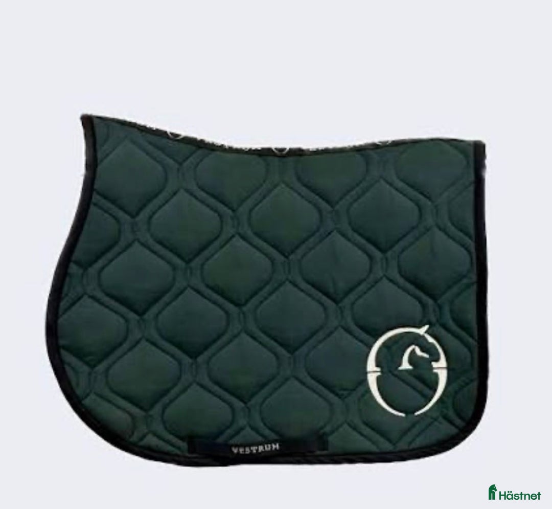 Schabrak & Vojlockar hästutrustning till salu: S*öker!! 🩷🩷 i Blomstermåla - Annons 3