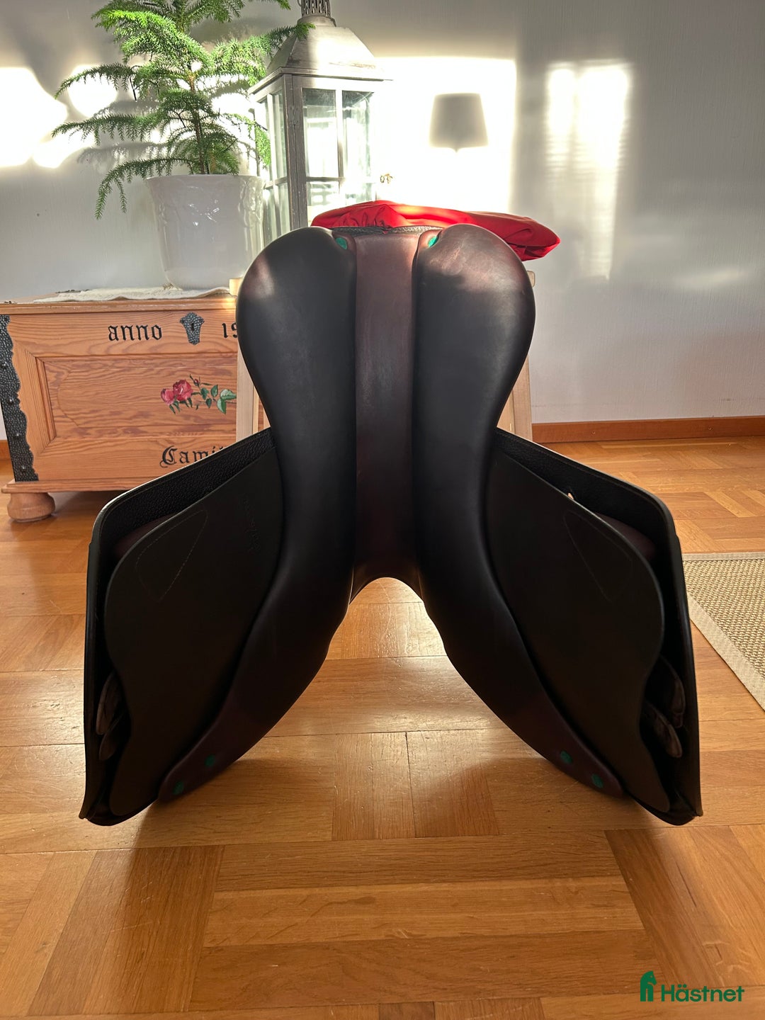 Sadlar hästutrustning till salu: Equipe Expression Special  i Lidköping - Annons 3