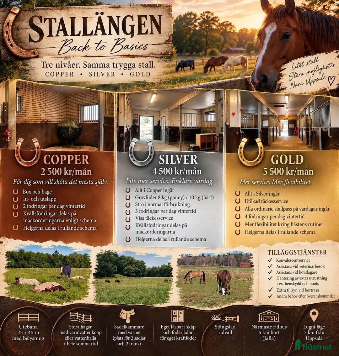  stallplats finnes: Stallängen 2 lediga platser - Annons 1