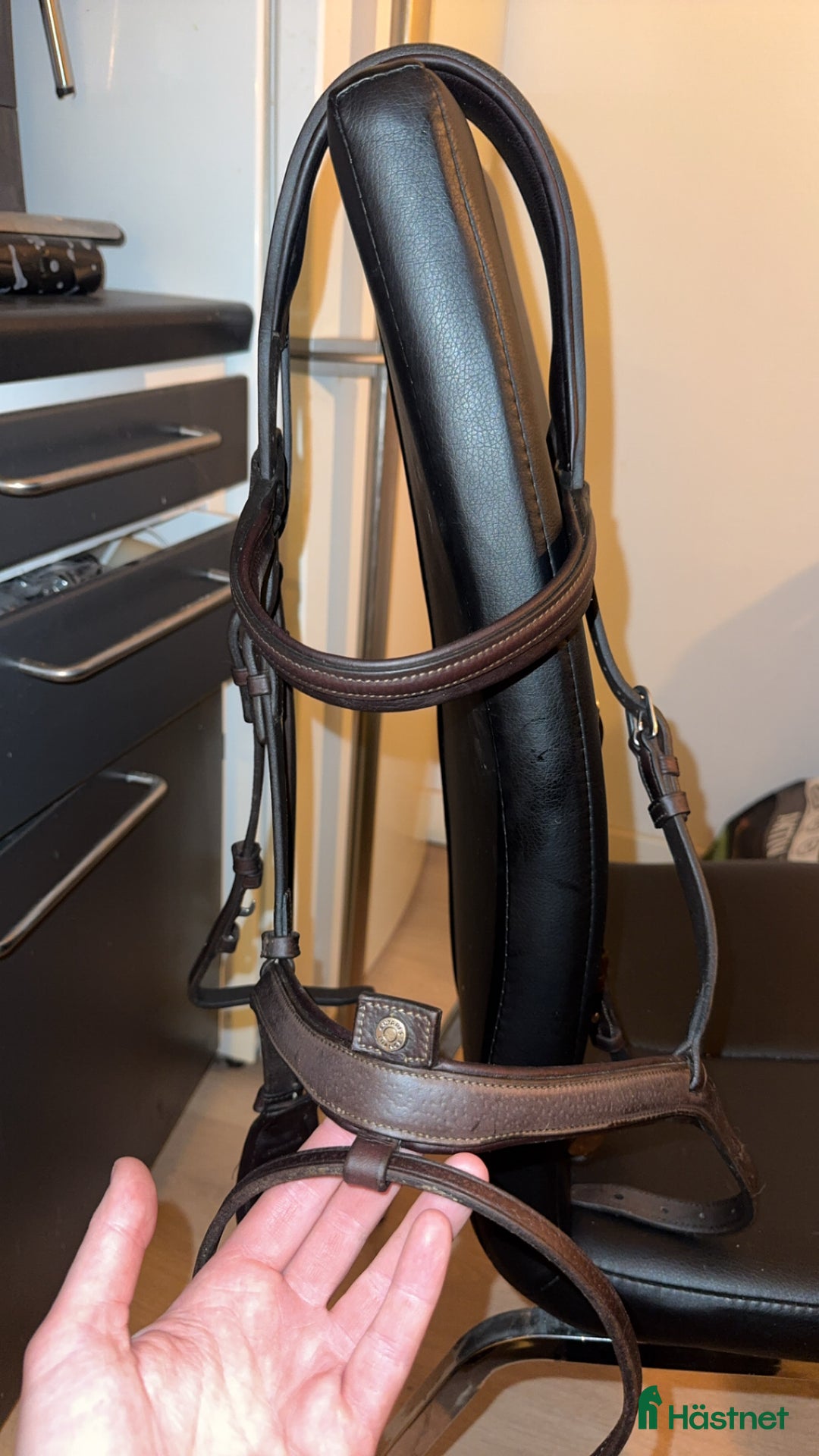 Träns hästutrustning till salu: Antares träns  i Björklinge - Annons 2