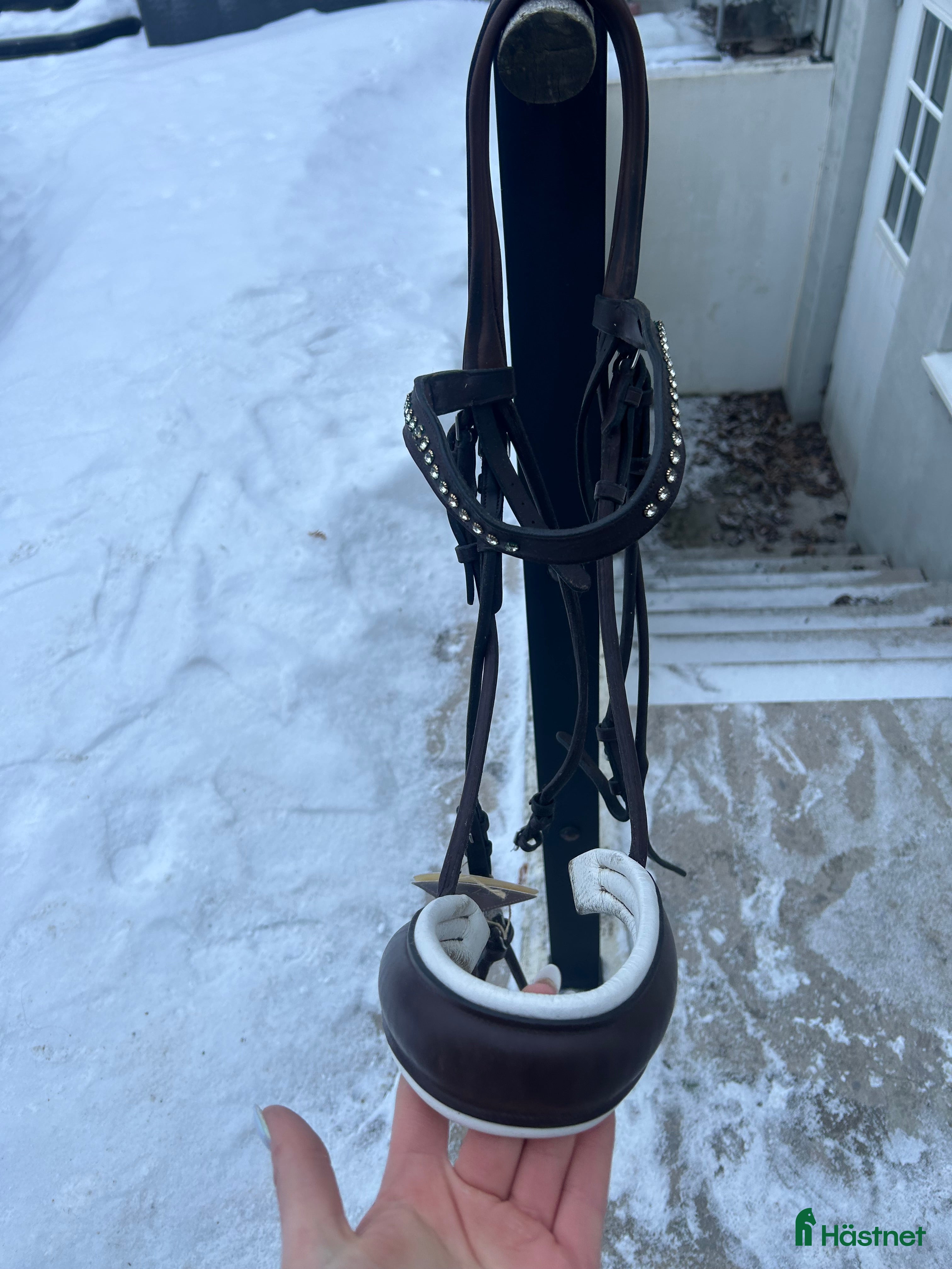 Träns hästutrustning Brunt kandar i Visby - Annons 18