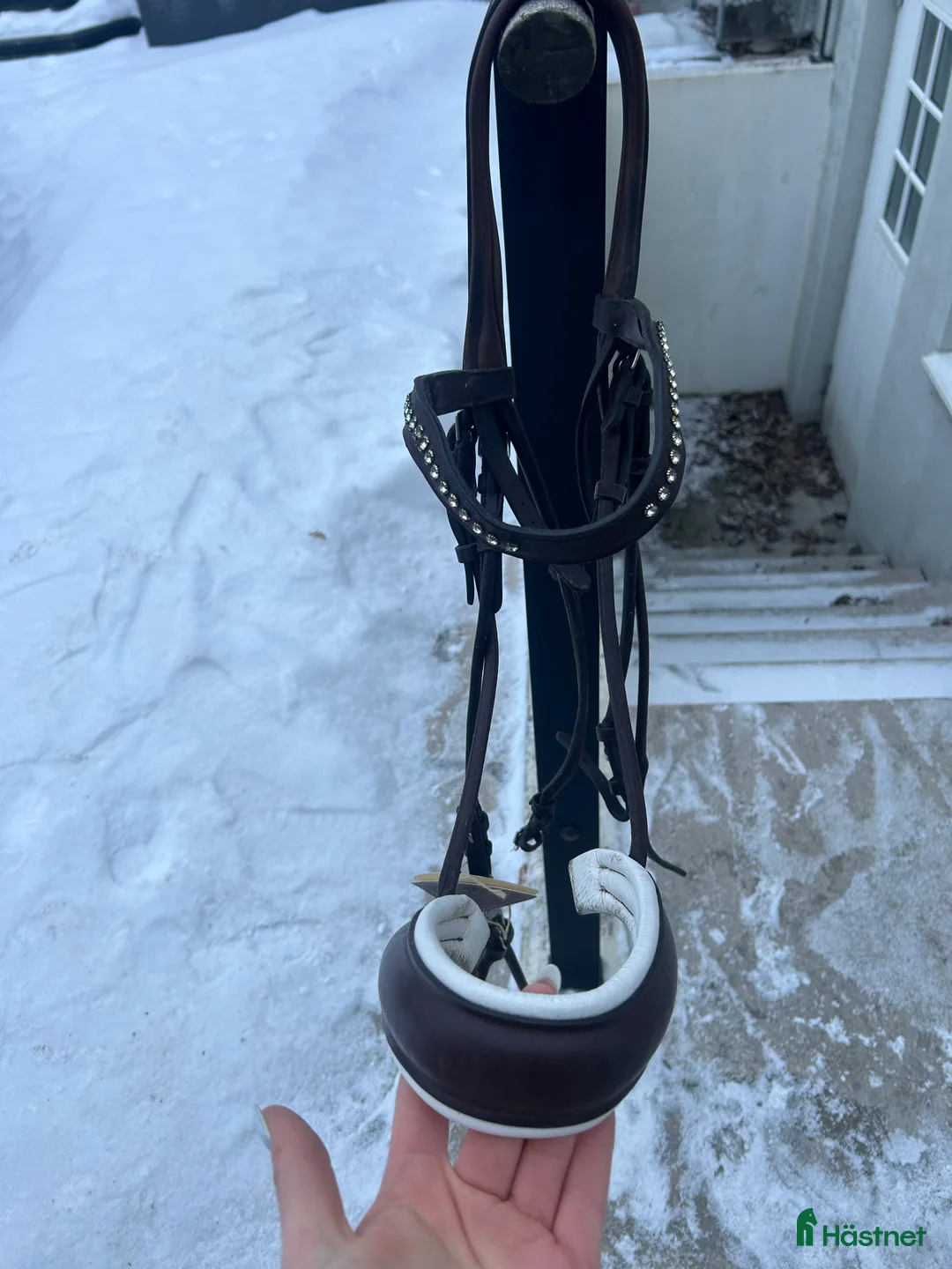 Träns hästutrustning till salu: Brunt kandar i Visby - Annons 1