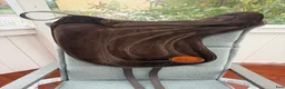 Sadlar hästutrustning till salu: Omega Innovation Dressage ridpad/barbackapad  - Annons 3