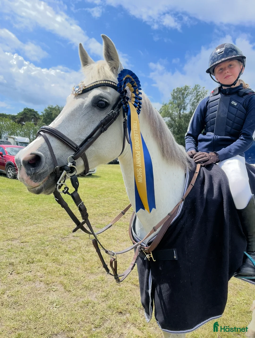 Hoppning hästar till salu: Fin ponny - Annons 1