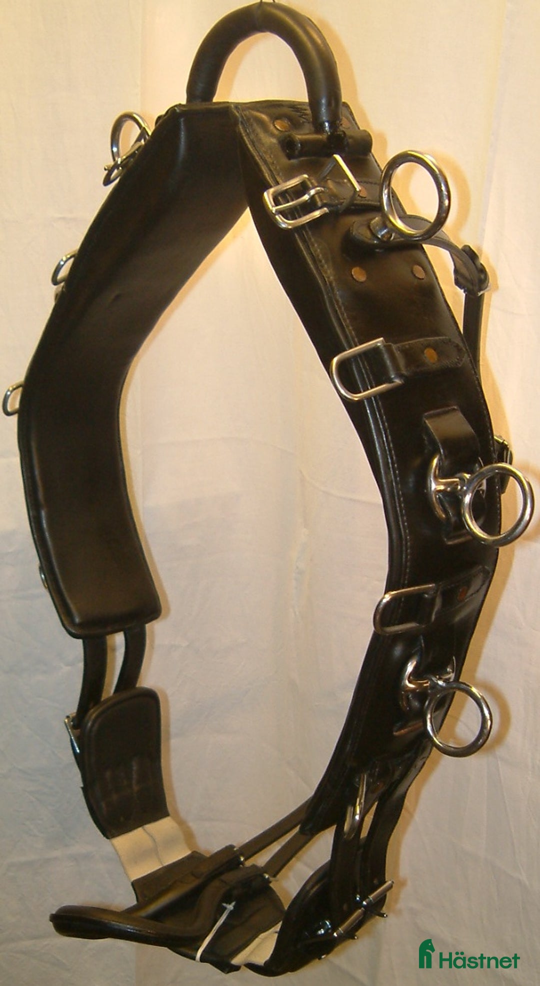 Övrig Hästutrustning hästutrustning till salu: TÖMKÖRNINGSGJORD GLOBUS BLACK DELUXE i Kalmar - Annons 2