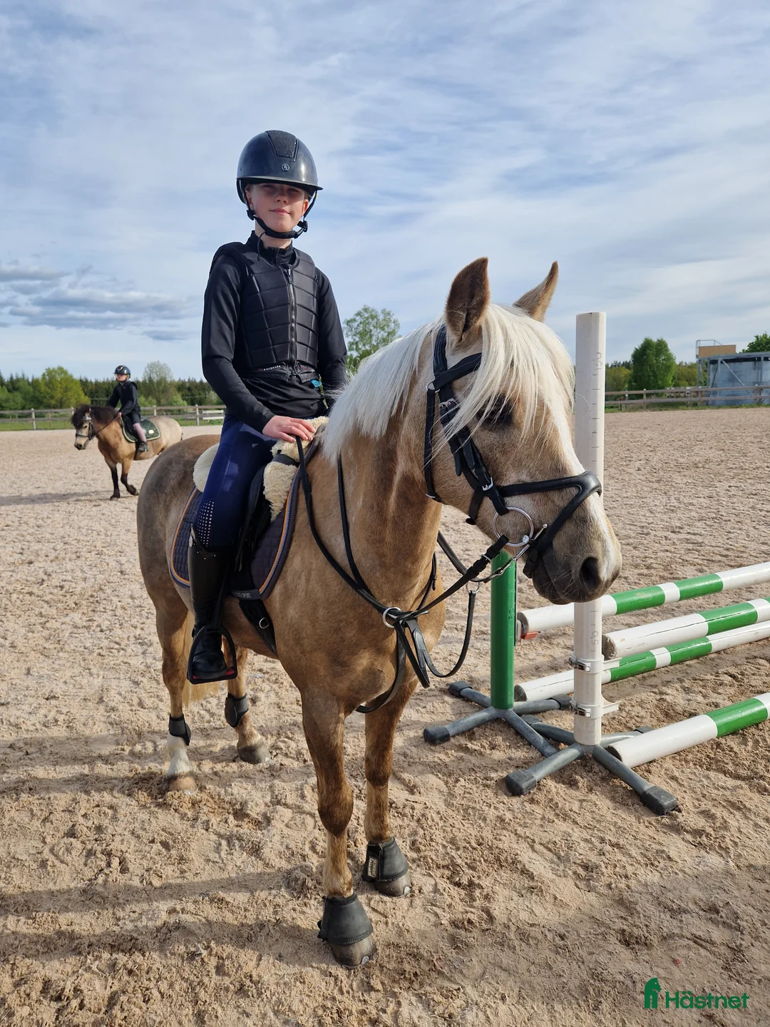 Allround hästar till salu: 🌟 Lyxig B-ponny f-12 🌟 - Annons 3