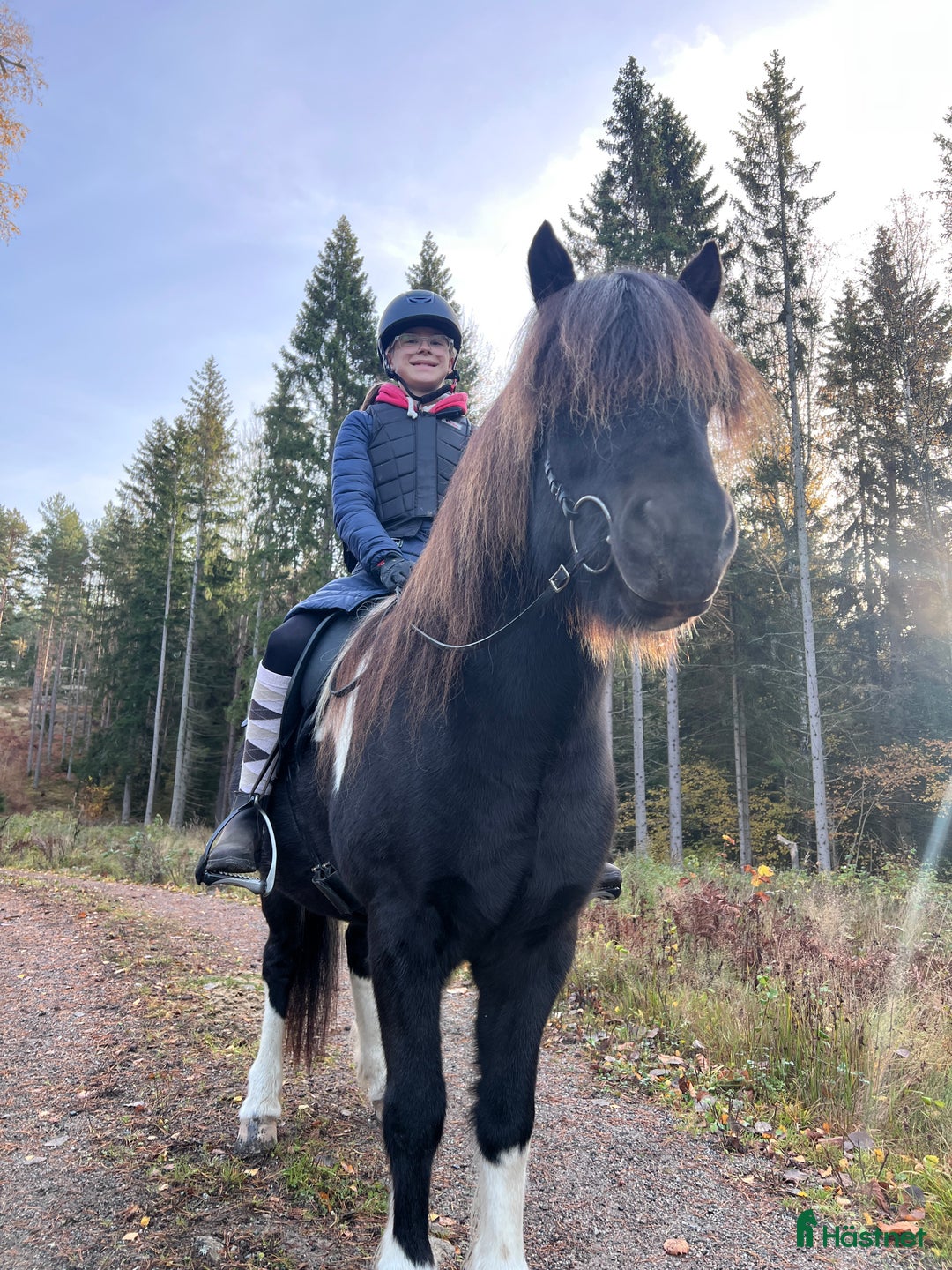 Galleribild {{count}}