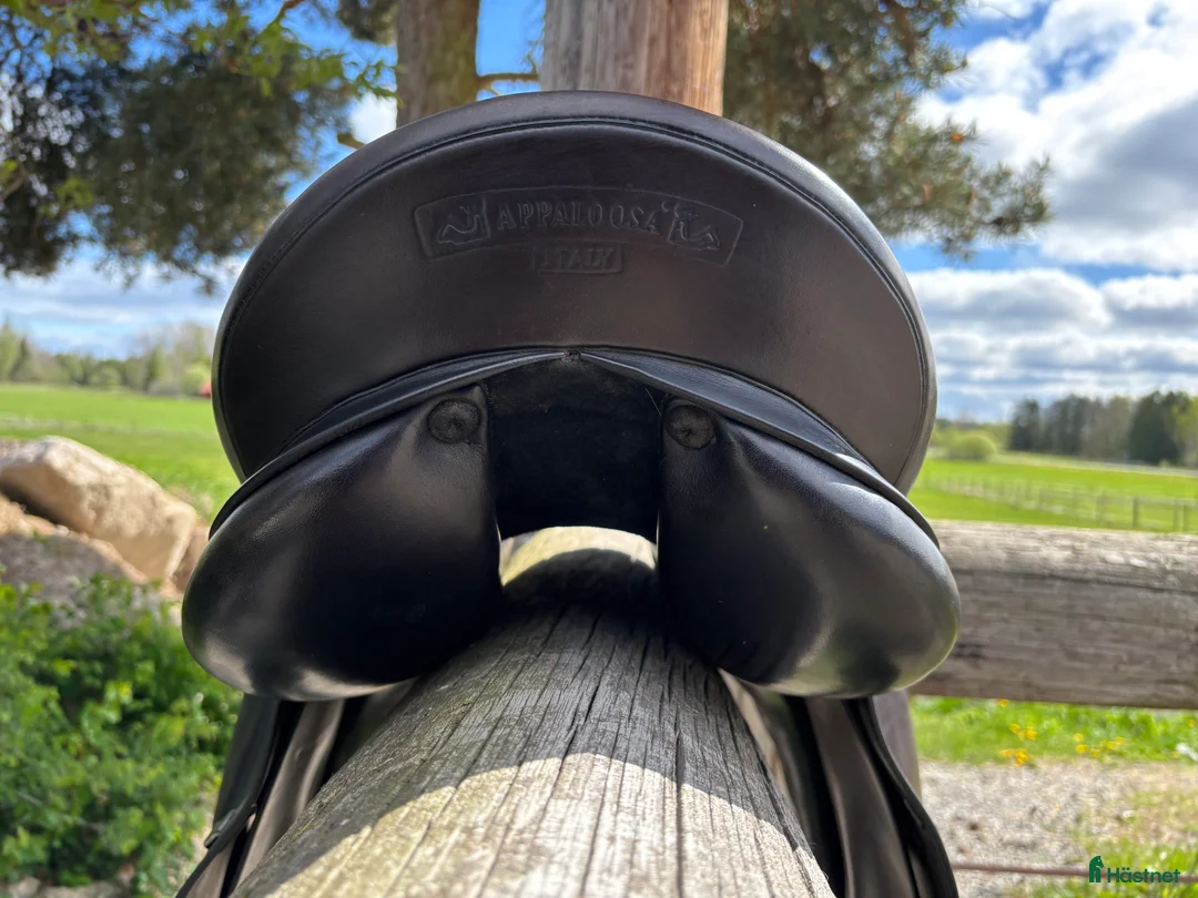 Sadlar hästutrustning till salu: Prestige Appaloosa dressage i Västerås - Annons 6