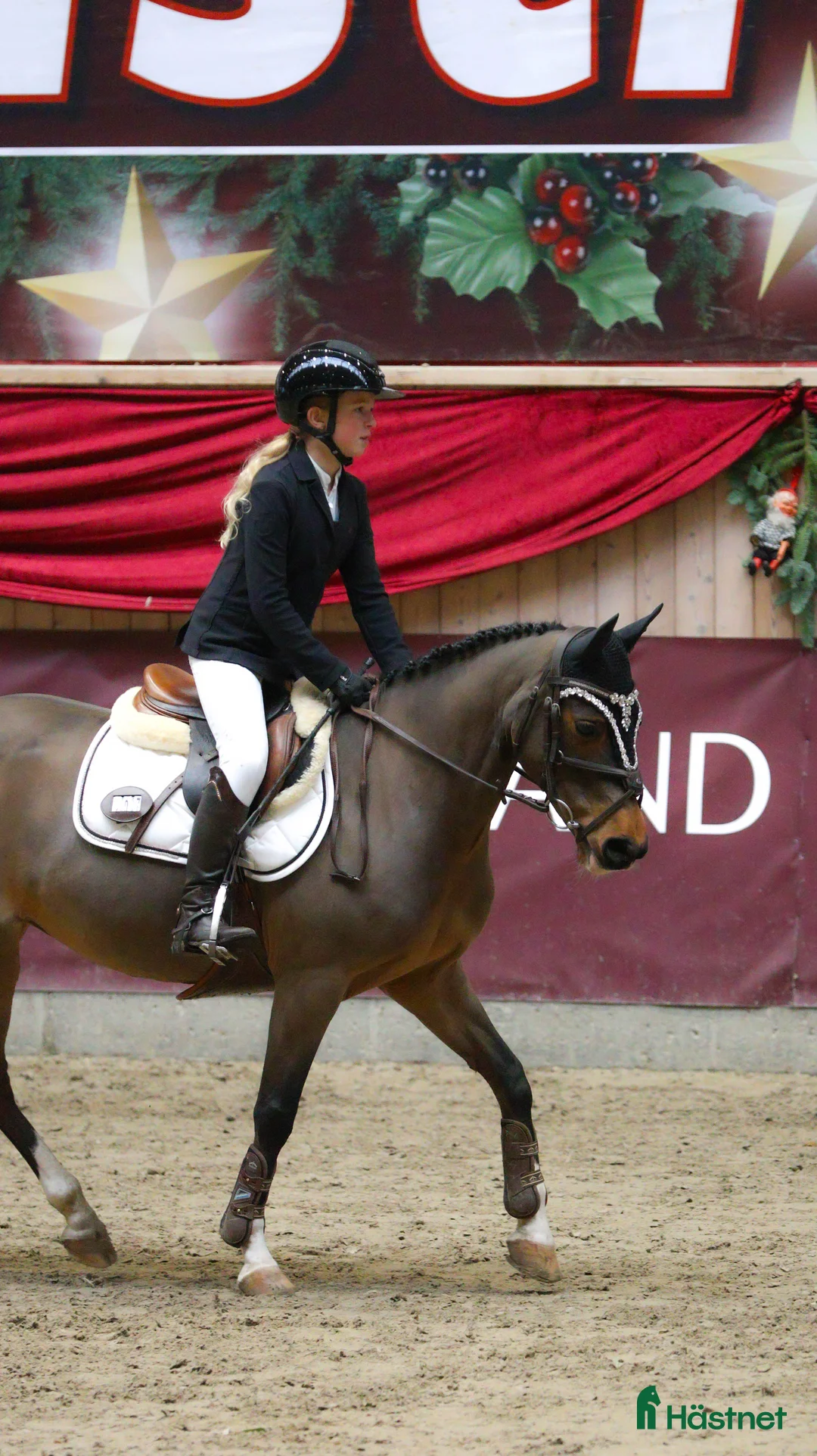 Hoppning hästar till salu: Yndig kat. 2 pony med kapacitet  - Annons 2