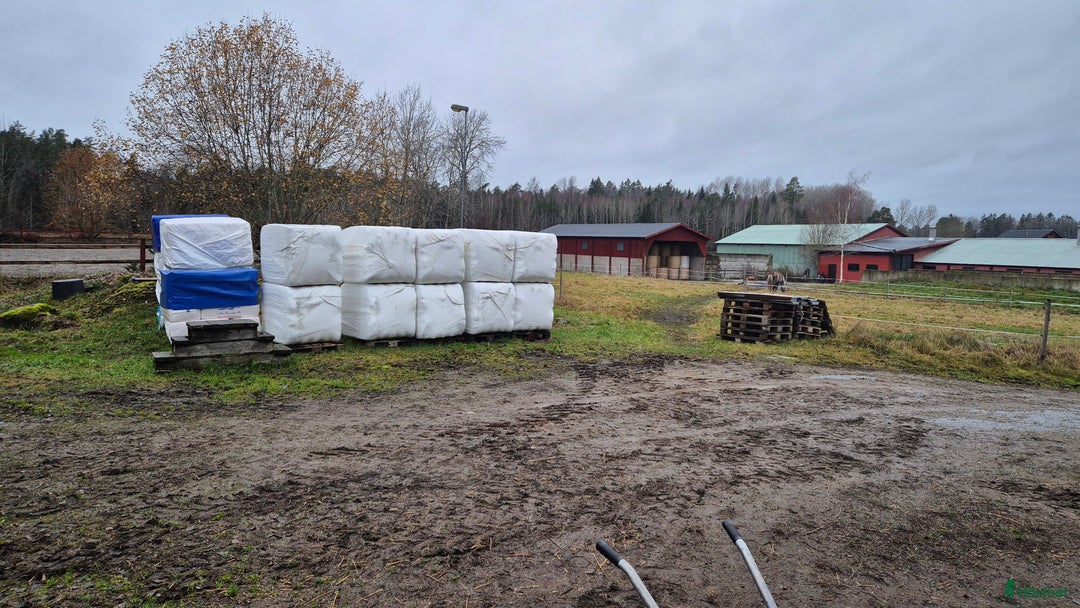  stallplats finnes: Boxplats i litet kollektiv i Vårsta  i Grödinge - Annons 13