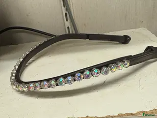 Träns hästutrustning till salu: Pannband rainbowstenar i Arvika - Annons 1