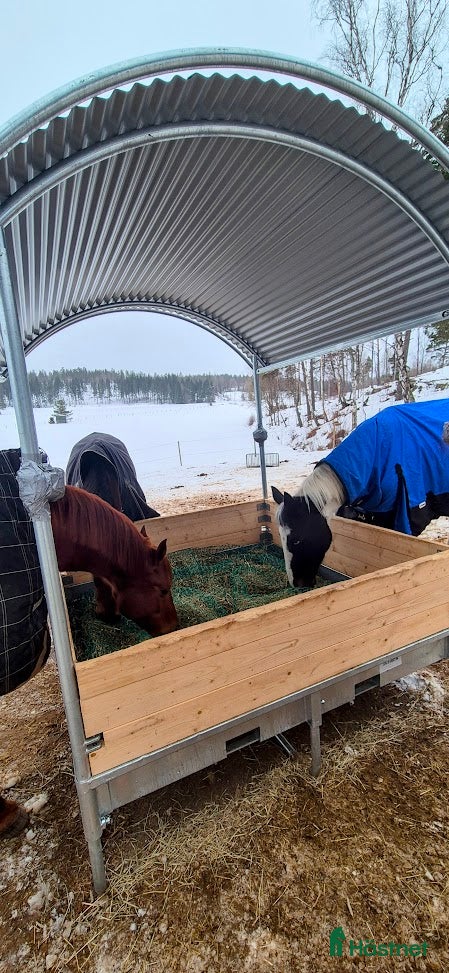  stallplats finnes: Lösdrift i Tullinge - Annons 3