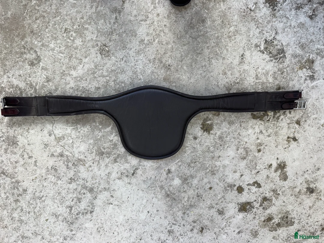 Sadeltillbehör hästutrustning till salu: Equiline  - Annons 2