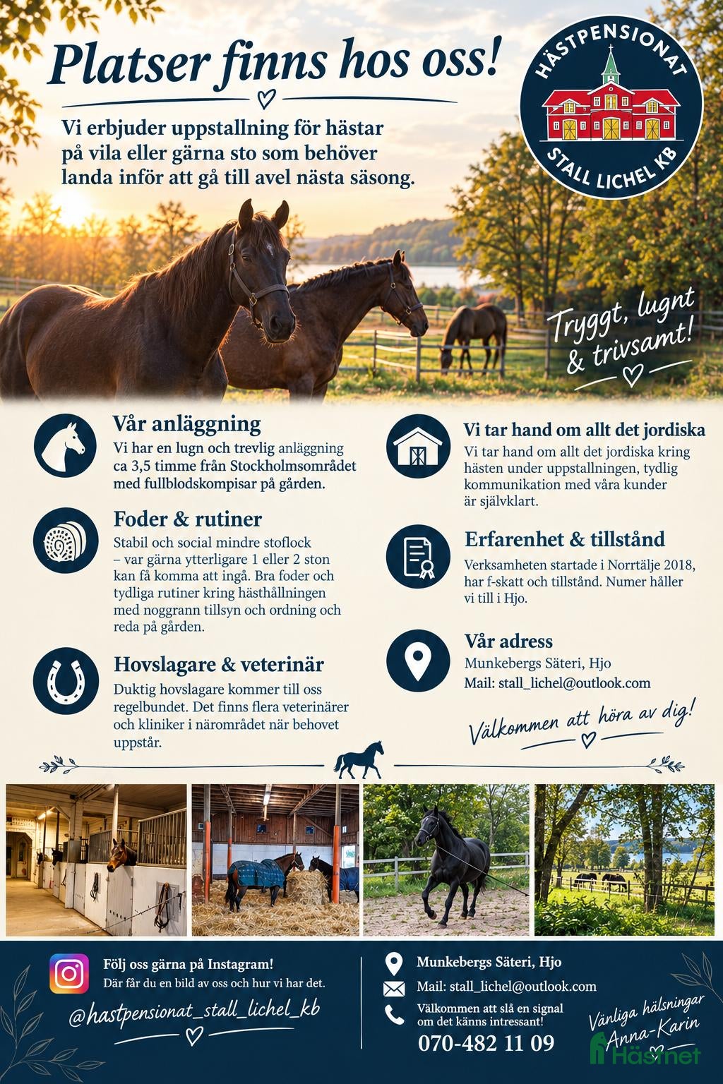  stallplats Fullservice för avelsston & konvalescenter  - Annons 4