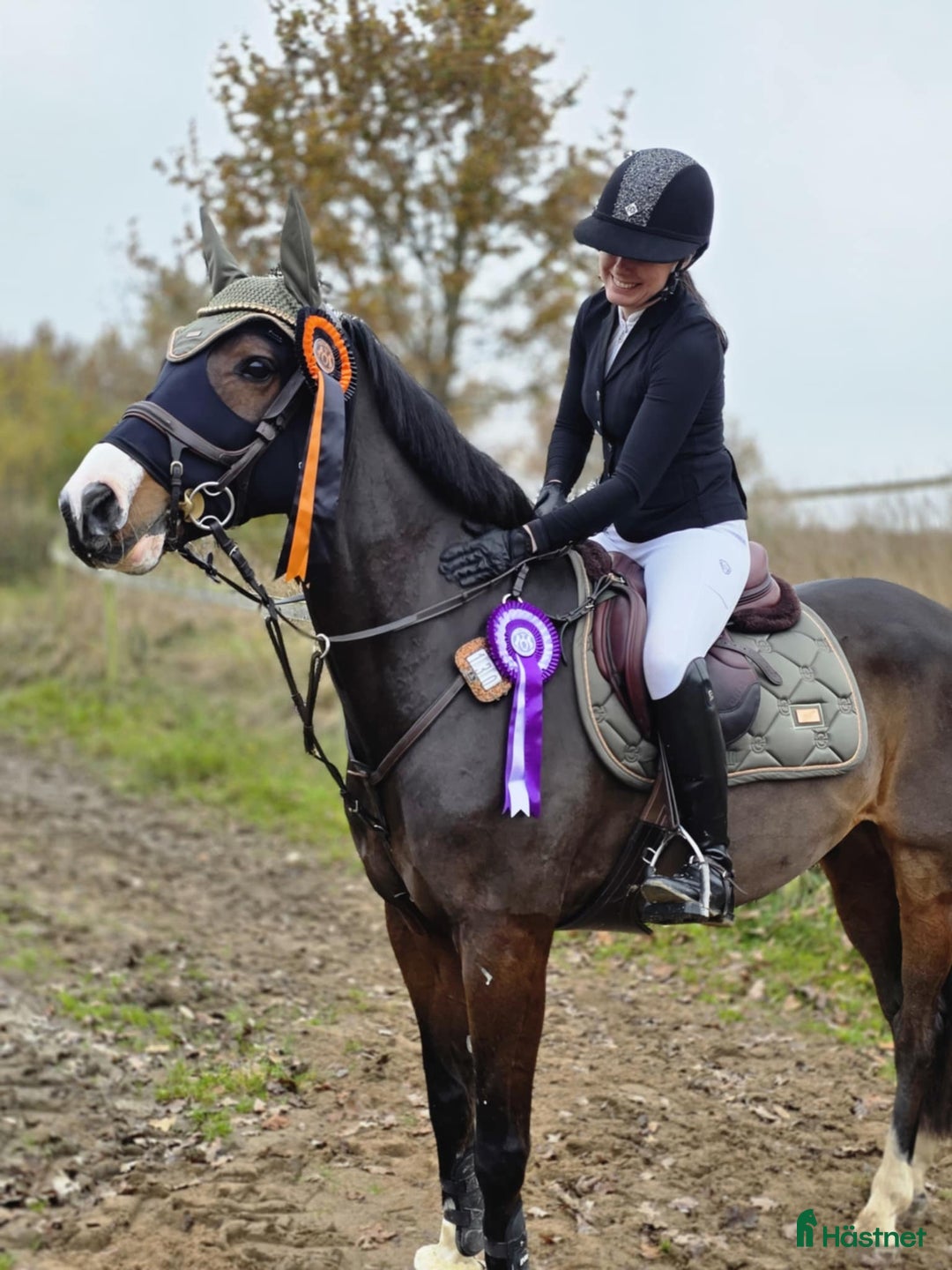 Hoppning hästar till salu: Vacker valack för valfri gren i Broby - Annons 3
