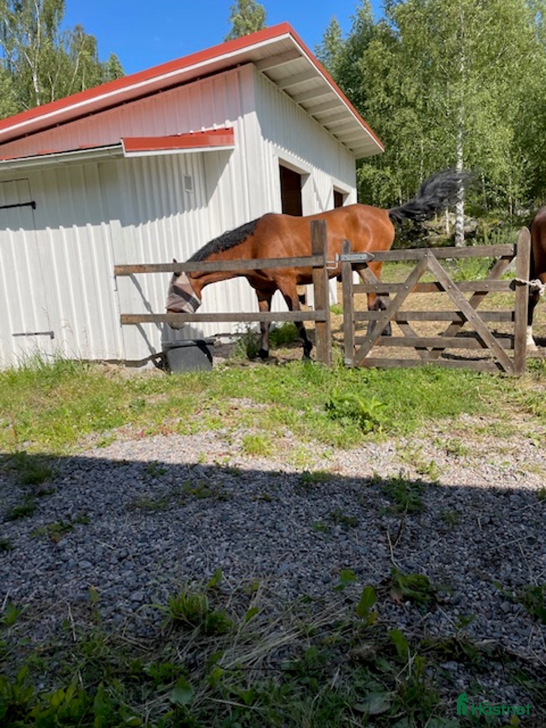  stallplats finnes: Uthyres stall med lösdrift - Strängnäs/Björsund i Strängnäs - Annons 4