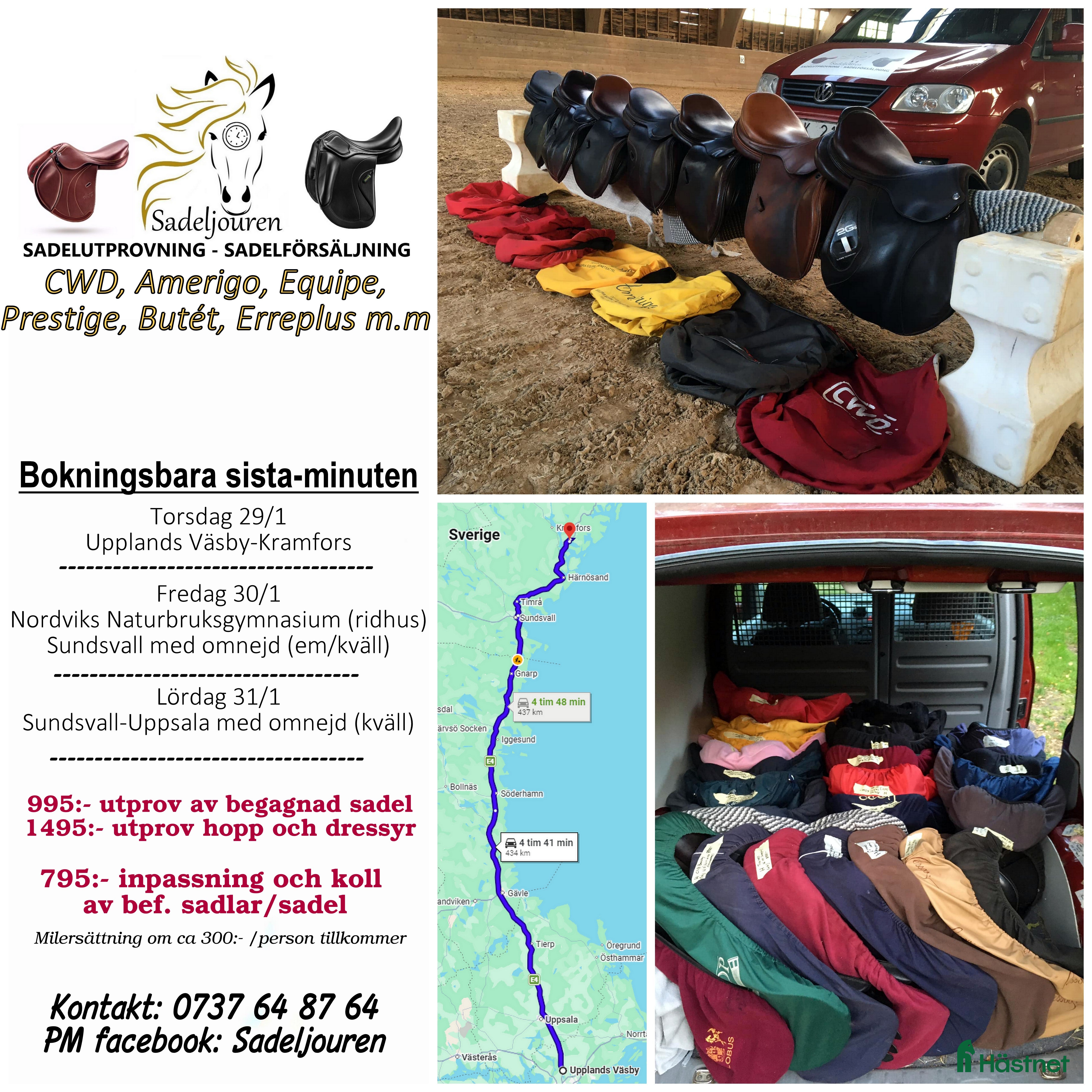 Sadlar hästutrustning Sadelutprovning/koll av sadel - SISTA MINUTEN  i Kramfors - Annons 5