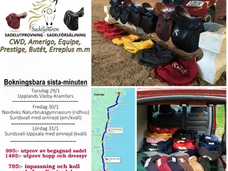 Sadlar hästutrustning Sadelutprovning/koll av sadel - SISTA MINUTEN i Kramfors - Annons 5