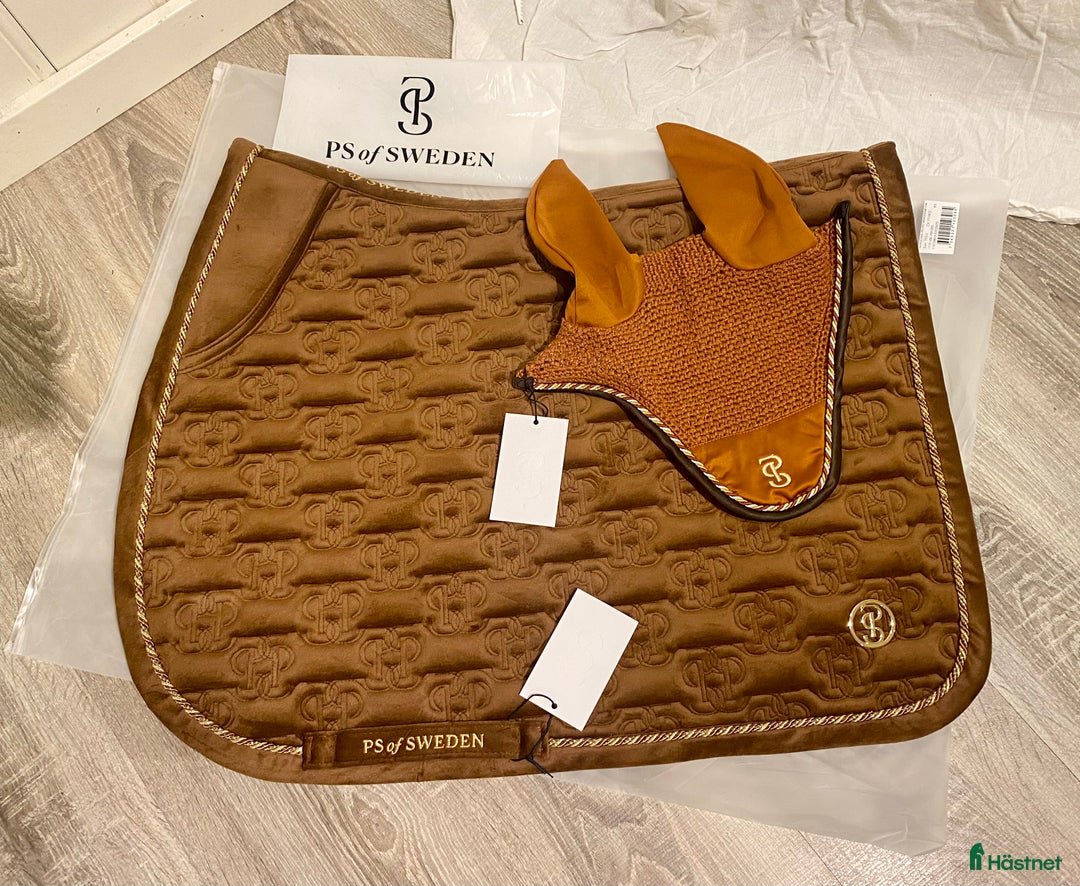 Sadlar hästutrustning till salu: Bruno Delgrange Partition i Mosby - Annons 16