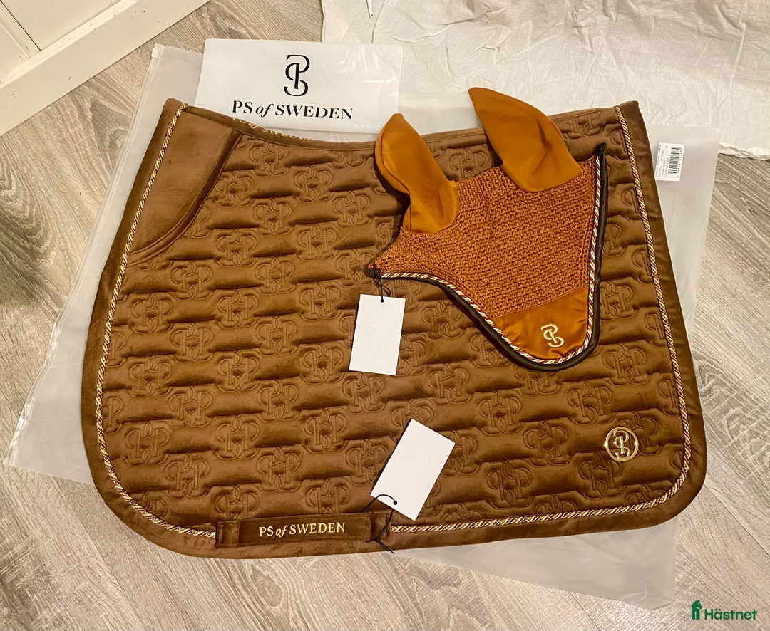 Sadlar hästutrustning till salu: Bruno Delgrange Partition - Annons 16