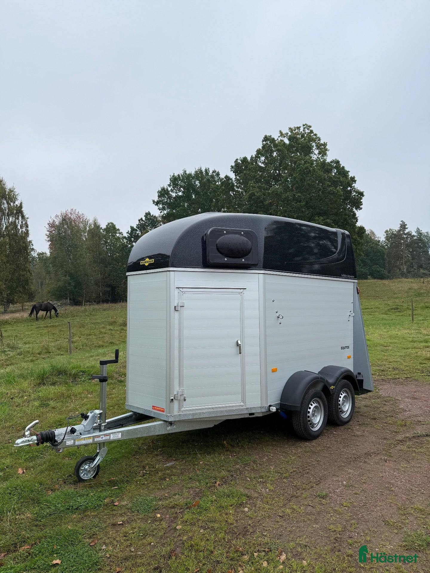 Hästtransporter  fordon & transport till salu: Humbaur Equitos Alu Plus, avdragbar moms! Nyskick - Annons 3