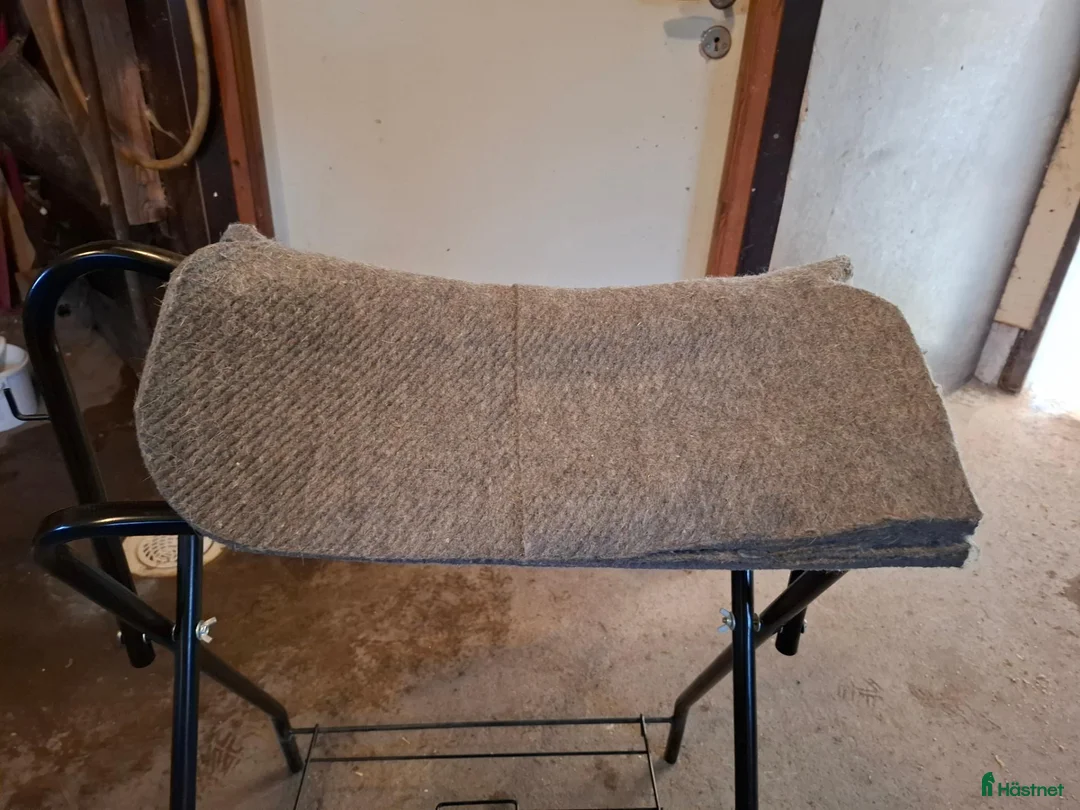 Sadlar hästutrustning till salu: Brun dressyrsadel - Annons 6
