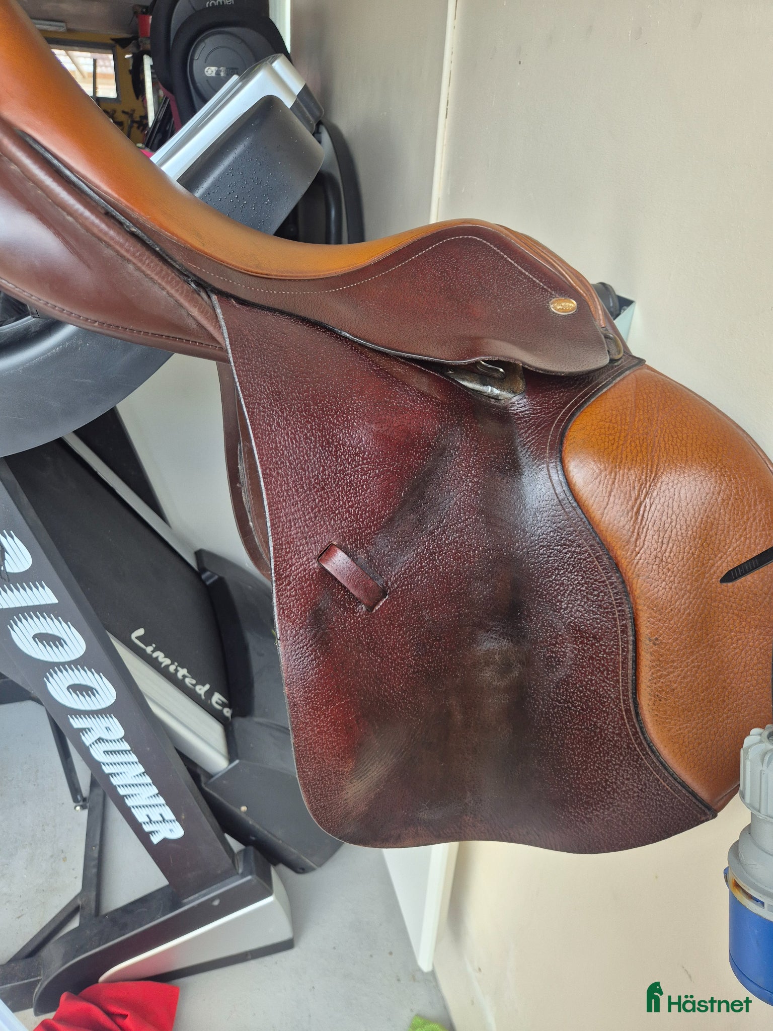 Sadlar hästutrustning Globus esperanza 16.5 - Annons 4