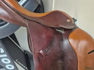 Sadlar hästutrustning Globus esperanza 16.5 - Annons 3
