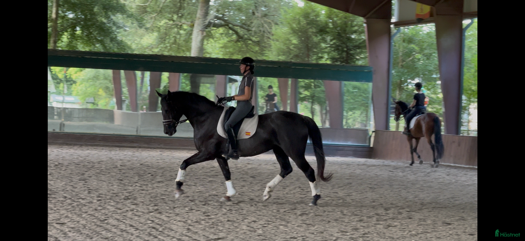  hästservice finnes: Plats för inridning, utbildning & elever i Göteborg - Annons 7