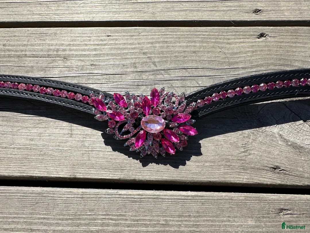 Övrig Hästutrustning hästutrustning till salu: Unika pannband - Annons 1